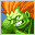 blanka